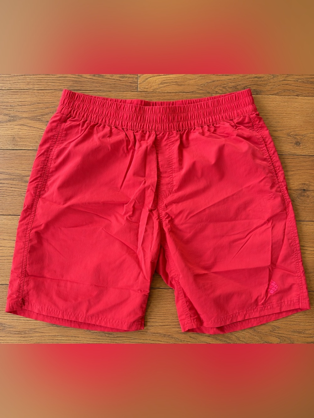 Stio Men’s Shorts Running Active Trunks size L with Liner